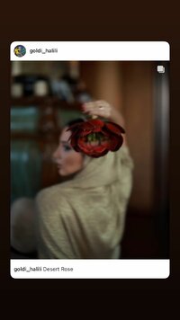 goldi_halili_20240307_STORIES_3318427401397257908_2_3318687327801708906.jpg