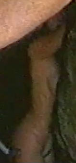 mb003.png