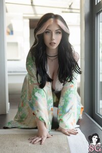 Silent_Velvet_07.jpg
