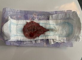 IMG_3046.jpeg