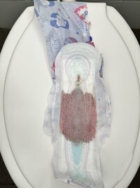 IMG_1146.jpeg