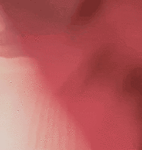 GIF_20241106_162303_638.gif