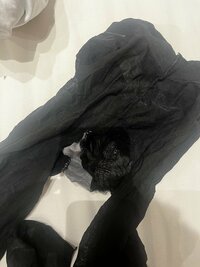 IMG_7665_Original.jpeg