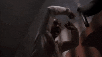 IMG_1940.gif