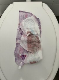 IMG_1538.jpeg