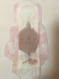 IMG_5632.jpeg