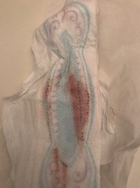 IMG_4823.jpeg