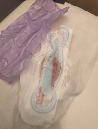 IMG_4824.jpeg