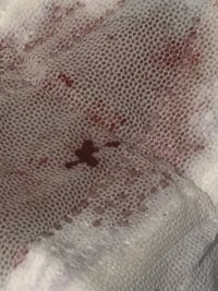 IMG_5748.jpeg