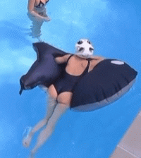 20250411_211606.gif