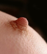 Capezzoli in tiro (16).jpg