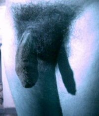 pic142.jpg