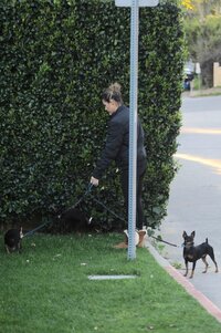 Elisabetta-Canalis--Walking-her-dogs--06.jpg