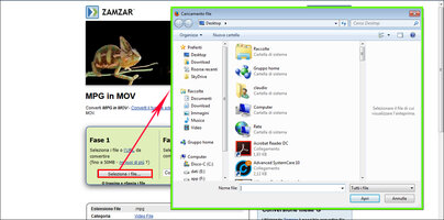 ZAMZAR03.jpg