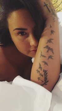 ddlovato_28430726_192444384693624_293540536277532672_n.jpg