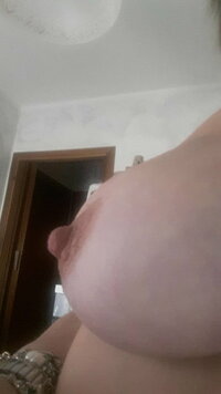 662_1000.jpg