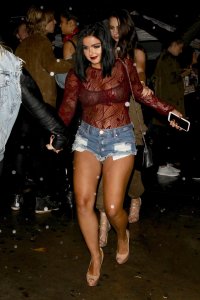 ariel winter al night 01.jpg