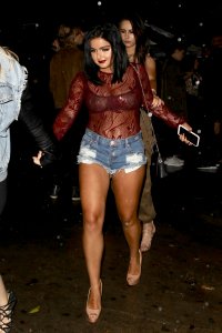 ariel winter al night 02.jpg