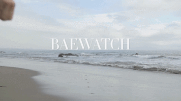 3156c71278792634.gif