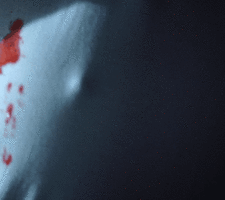 ssth1.gif