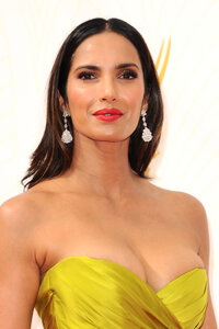 padma lakshmi al gala 11.jpg