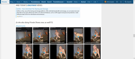 screenshot-www.phica.eu-2023.05.17-15_22_34.jpg