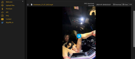 screenshot-gofile.io-2023.07.28-18_22_26.jpg