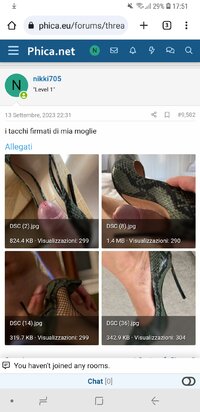 Screenshot_20231018-175145_Chrome.jpg