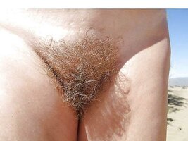 56334554a938be70a3a.jpg